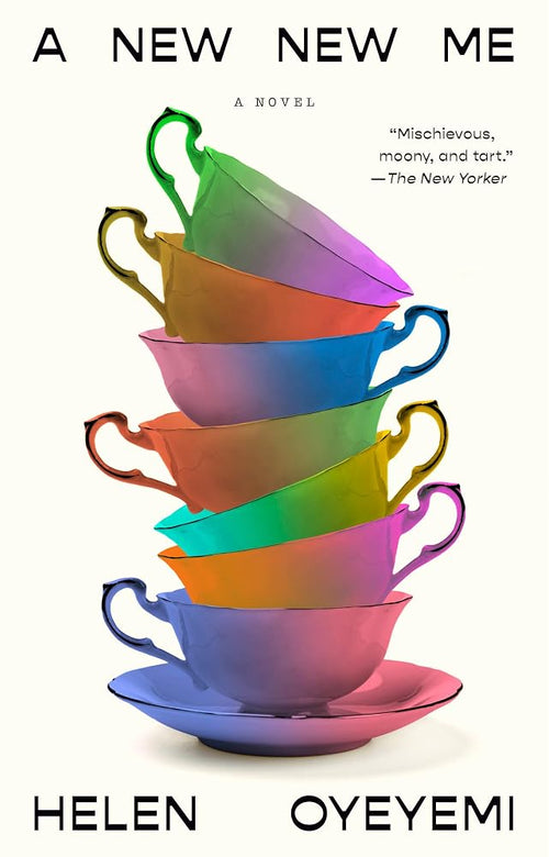 A New New Me: A Novel cover image